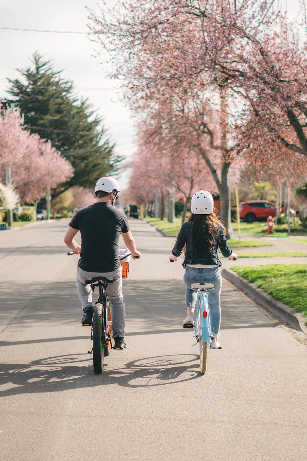 A couple cycling together beneath spring blossoms